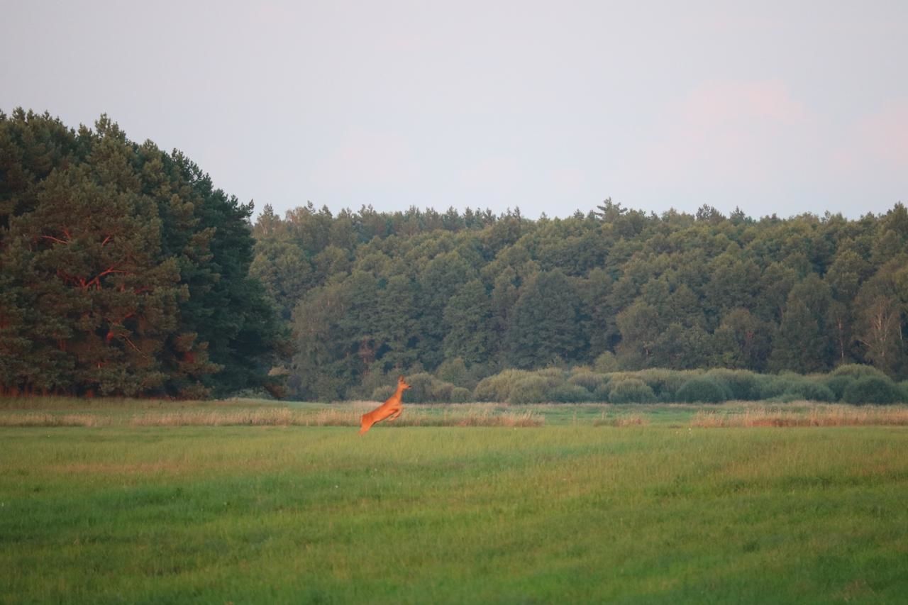 Загородные дома Усадьба  Каменюки-25