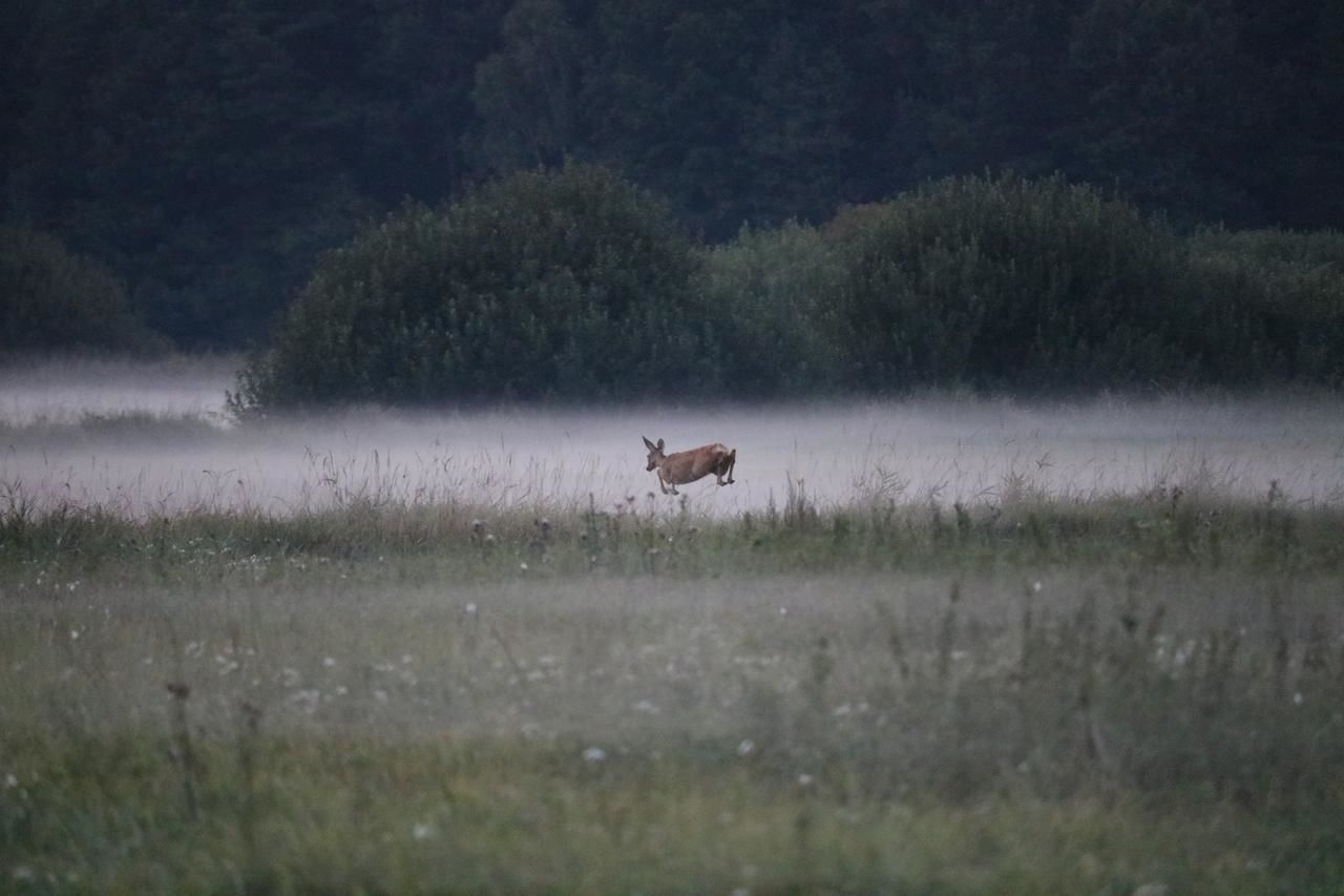 Загородные дома Усадьба  Каменюки-30