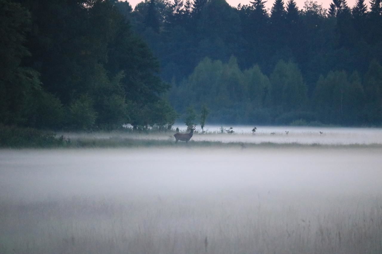 Загородные дома Усадьба  Каменюки-33