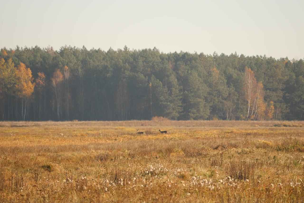 Загородные дома Усадьба  Каменюки-35