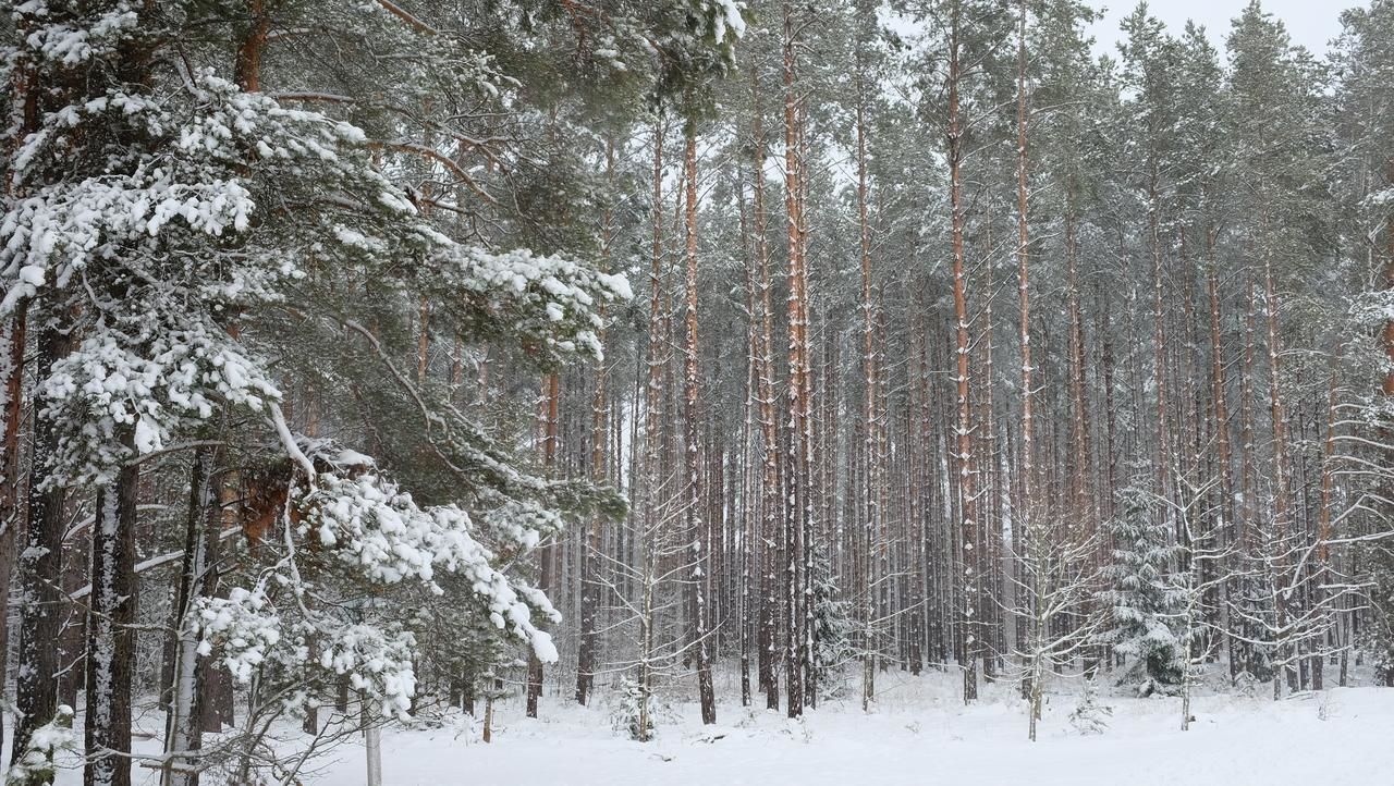 Загородные дома Усадьба  Каменюки-46